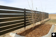 Landscaping and fencing. Photo by Dawn Ballou, Pinedale Online.