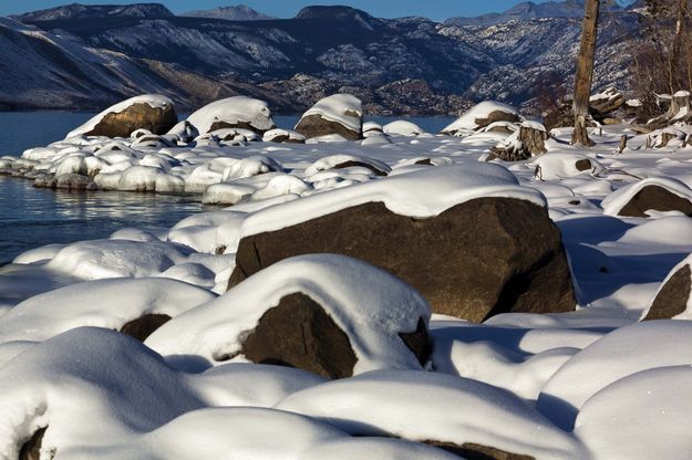 Rocky shore. Photo by Dave Bell.