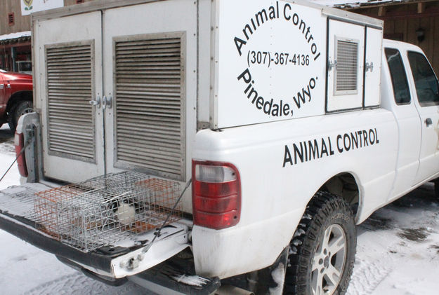 Animal Control. Photo by Dawn Ballou, Pinedale Online.
