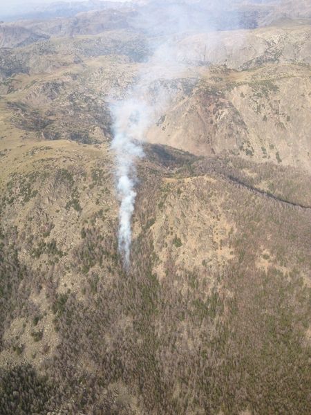 Kendal Mountain Fire . Photo by Bridger-Teton National Forest.
