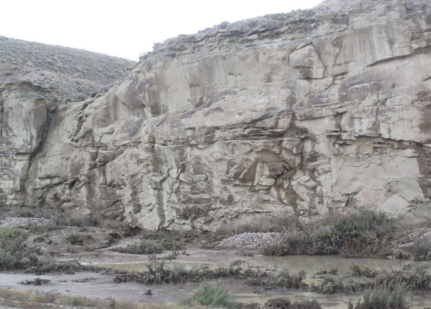 Covered in mud. Photo by Dawn Ballou, Pinedale Online.