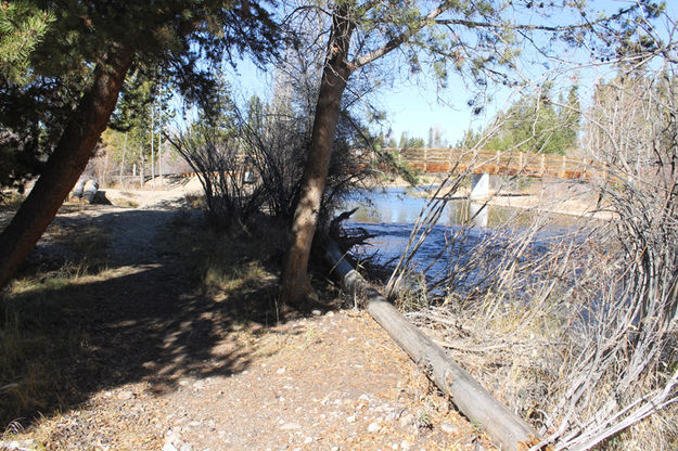 By the creek. Photo by Dawn Ballou, Pinedale Online.