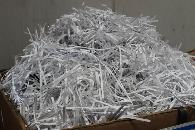 Shredded paper. Photo by Dawn Ballou, Pinedale Online.