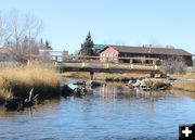 Footbridge. Photo by Dawn Ballou, Pinedale Online.