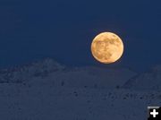 October Harvest Moon. Photo by Dave Bell.