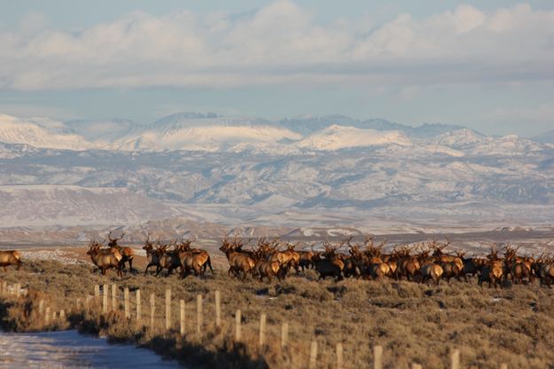 Running. Photo by Karen Forrester.