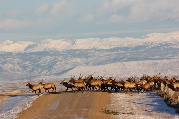 Across the road. Photo by Karen Forrester.