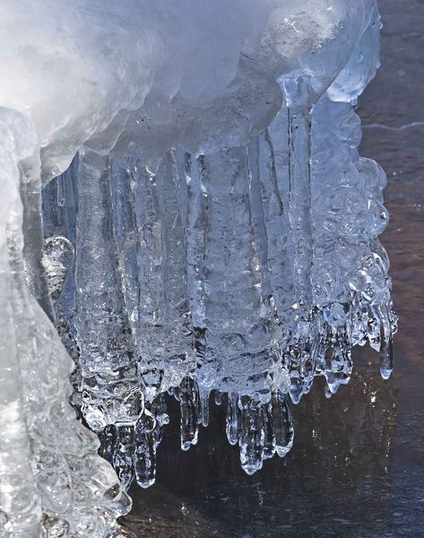 Fragile icicle fringe. Photo by Dave Bell.