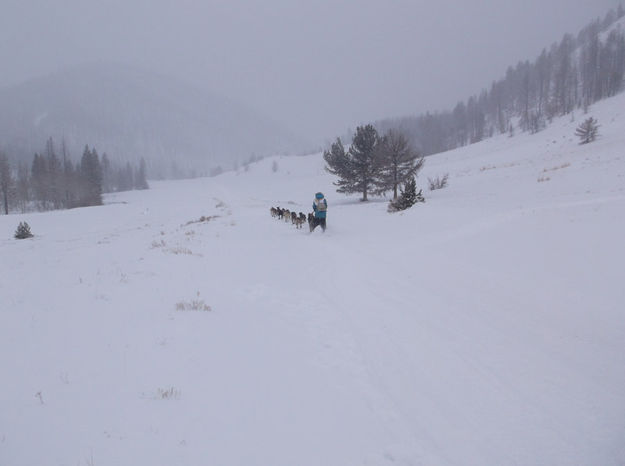 Away they go. Photo by Joy Ufford.