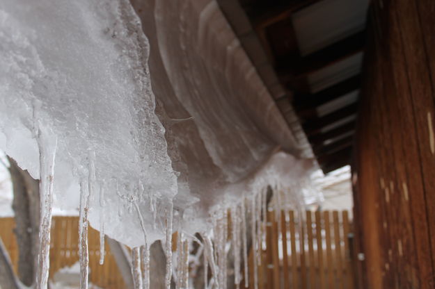 Snow curl. Photo by Dawn Ballou, Pinedale Online.