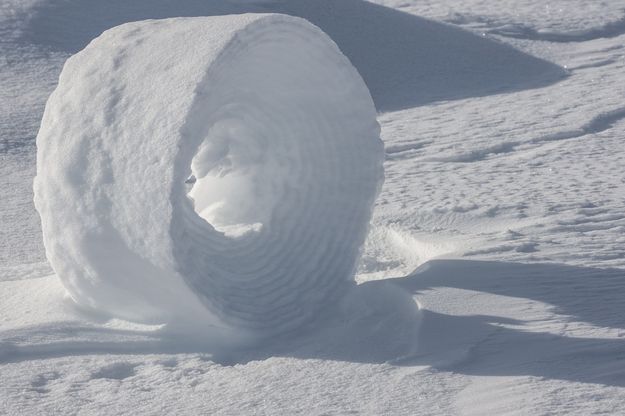 Snow Roller. Photo by Arnold Brokling.