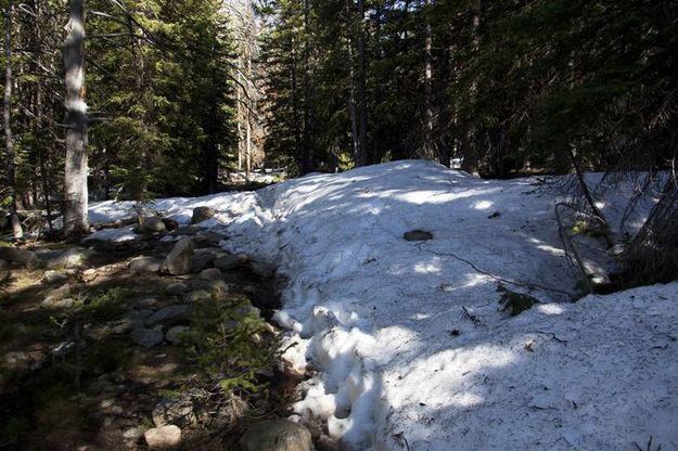 Snow and wet trails. Photo by Dave Bell.