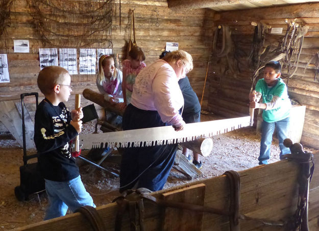 Sawing a log. Photo by Clint Gilchrist.