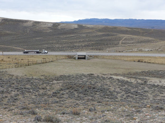 Cattle underpass. Photo by Dawn Ballou, Pinedale Online.