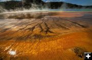 Grand Prismatic. Photo by Dave Bell.