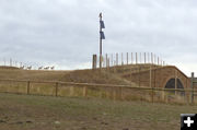 Pronghorn crossing. Photo by Dawn Ballou, Pinedale Online.