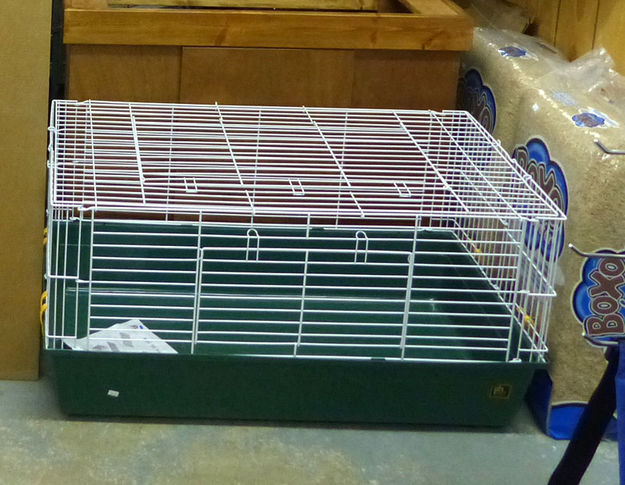 Cages. Photo by Dawn Ballou, Pinedale Online.