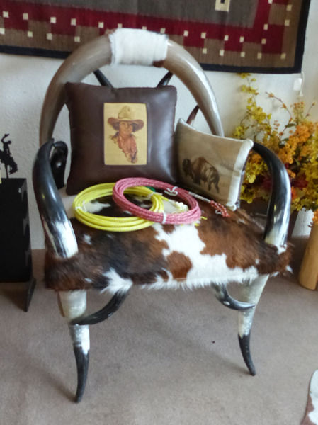 Chair. Photo by Dawn Ballou, Pinedale Online.