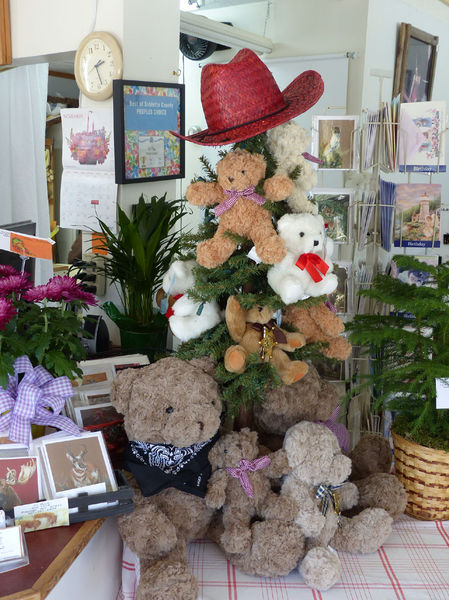 Teddy bear tree. Photo by Dawn Ballou, Pinedale Online.