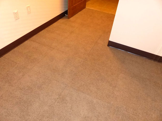 Carpet. Photo by Dawn Ballou, Pinedale Online.
