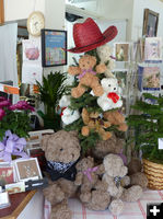 Teddy bear tree. Photo by Dawn Ballou, Pinedale Online.