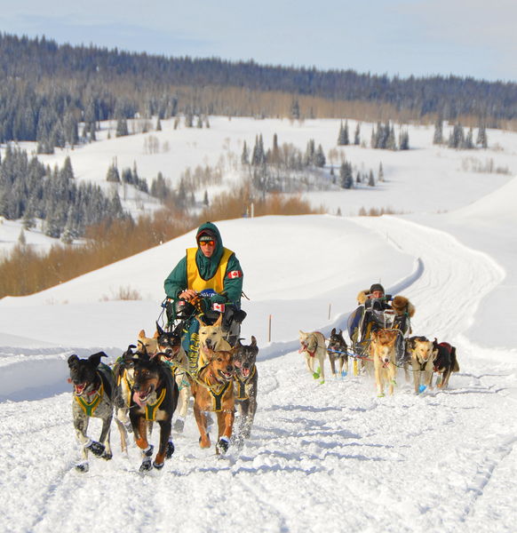 On the trail. Photo by Terry Allen.