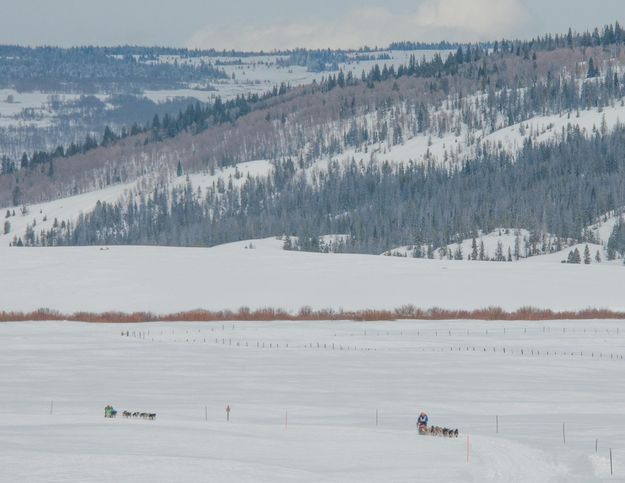 Sled dots. Photo by Chris Havener.