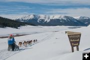 Bridger National Foerst. Photo by Chris Havener.