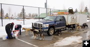 Taking care of the pups. Photo by Terry Allen.