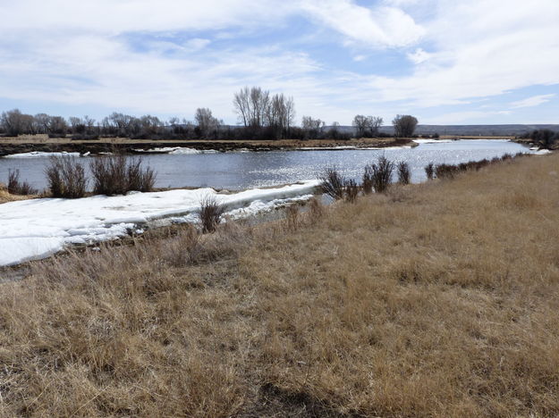 New Fork River. Photo by Dawn Ballou, Pinedale Online.