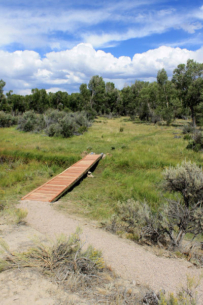 Park with green. Photo by Dawn Ballou, Pinedale Online.