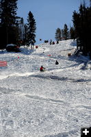 Looking up the course. Photo by Terry Allen.