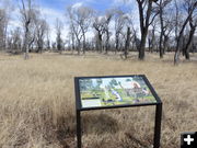 Wagon campsite. Photo by Dawn Ballou, Pinedale Online.