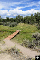 Park with green. Photo by Dawn Ballou, Pinedale Online.