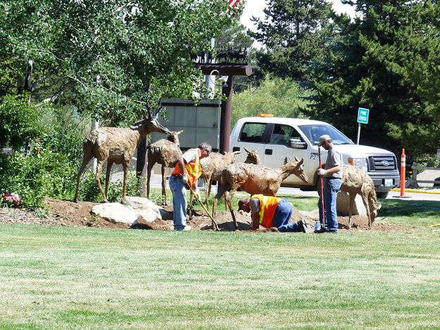 Landscaping for pronghorn. Photo by Pinedale Online.