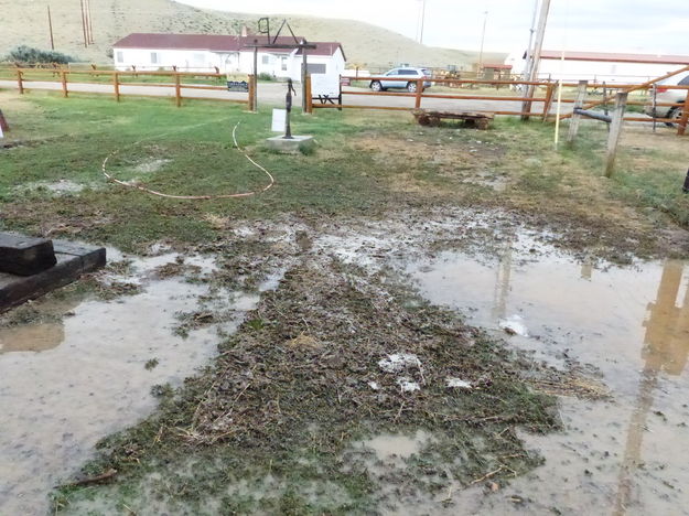 South side of Homestead house. Photo by Dawn Ballou, Pinedale Online.