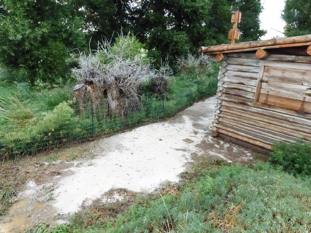 Behind Ice House. Photo by Dawn Ballou, Pinedale Online.