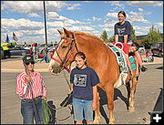 Horse Talent. Photo by Terry Allen.