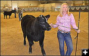 Beef Sale. Photo by Terry Allen.