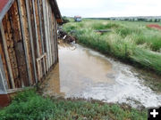 Behind Garage. Photo by Dawn Ballou, Pinedale Online.