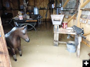 Garage. Photo by Dawn Ballou, Pinedale Online.