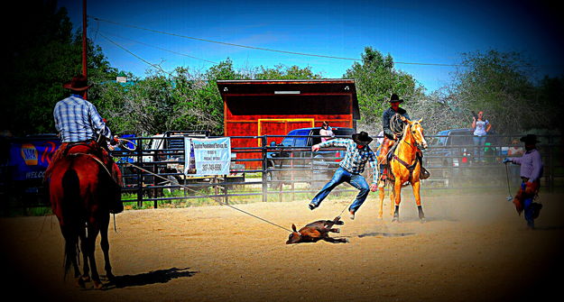 Jumping In. Photo by Terry Allen.