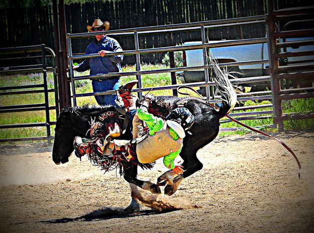 Getting Off. Photo by Terry Allen.