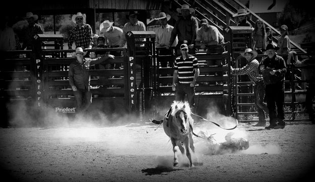 Eatin' Dust. Photo by Terry Allen.