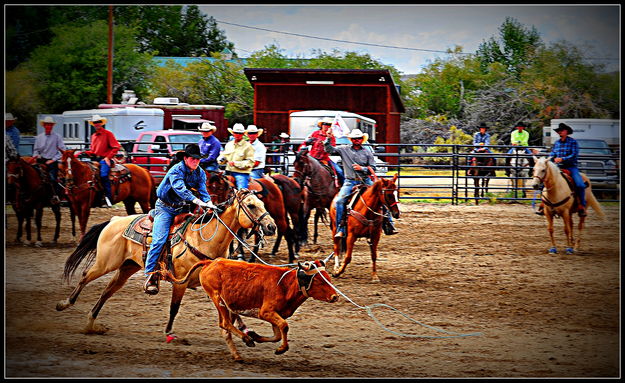 Right Down the Middle. Photo by Terry Allen.