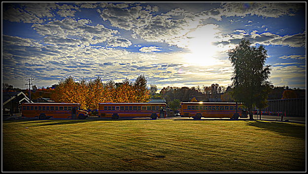 Shuttle Buses in the Morning. Photo by Terry Allen.