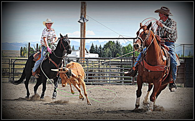 Wait for it. Photo by Terry Allen.