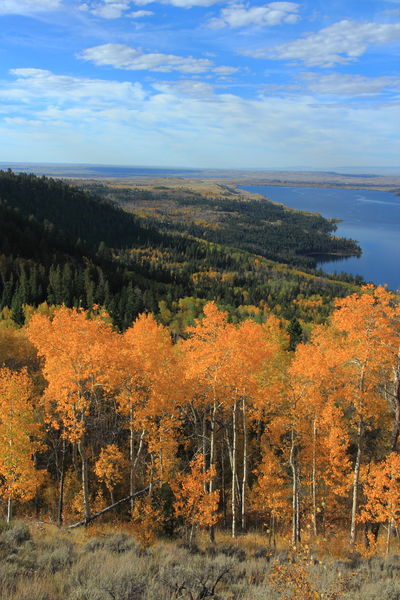 Fremont Lake view. Photo by Fred Pflughoft.