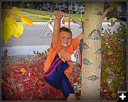 Tree Climber. Photo by Terry Allen.