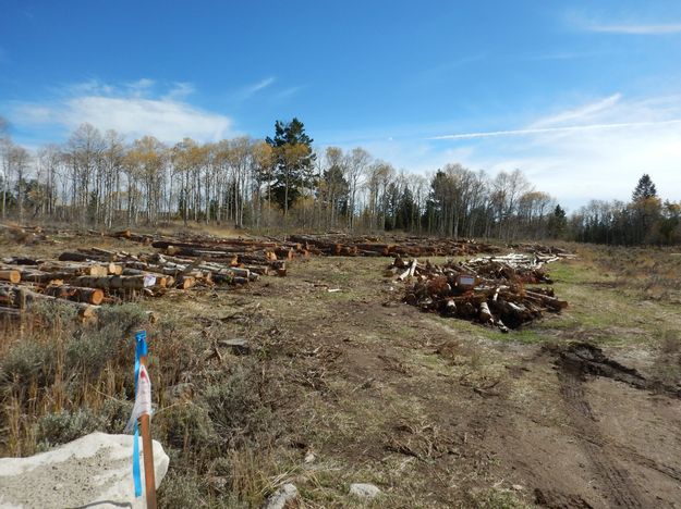 Firewood available. Photo by Bridger-Teton National Forest.